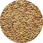 middle_square_lentilles-blondes-4-mm-25-kg-legumor_3276650034185