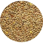 middle_square_lentilles-blondes-6mm-25-kg-legumor_3276650036080