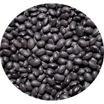 middle_square_haricots-noirs-type-coco-25-kg-legumor_3276650028184