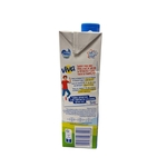 lait viva 1l 1