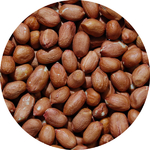 middle_square_arachides-crues-decortiquees-35-40-25-kg-profruit_3276650120680