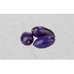 safou-fruit-fond-gris