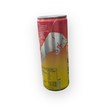 Redbull winter 250ml2
