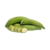 plantain vert