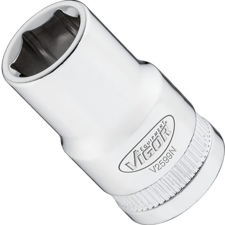 V2599N