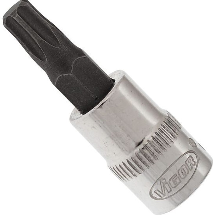 V2446N