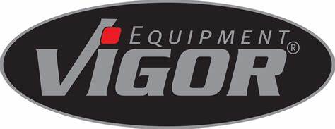 VIGOR LOGO