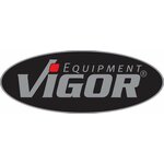 VIGOR LOGO