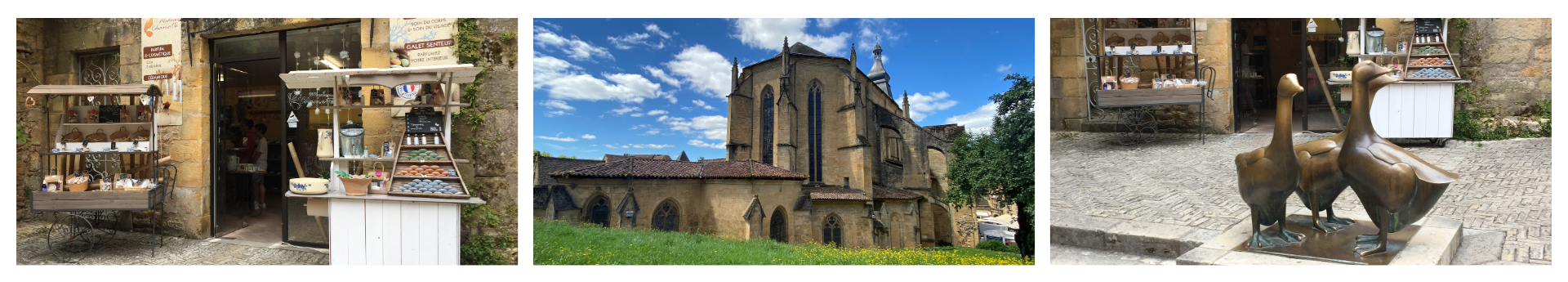 sarlat oie