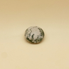 IMG-E1608-zoom