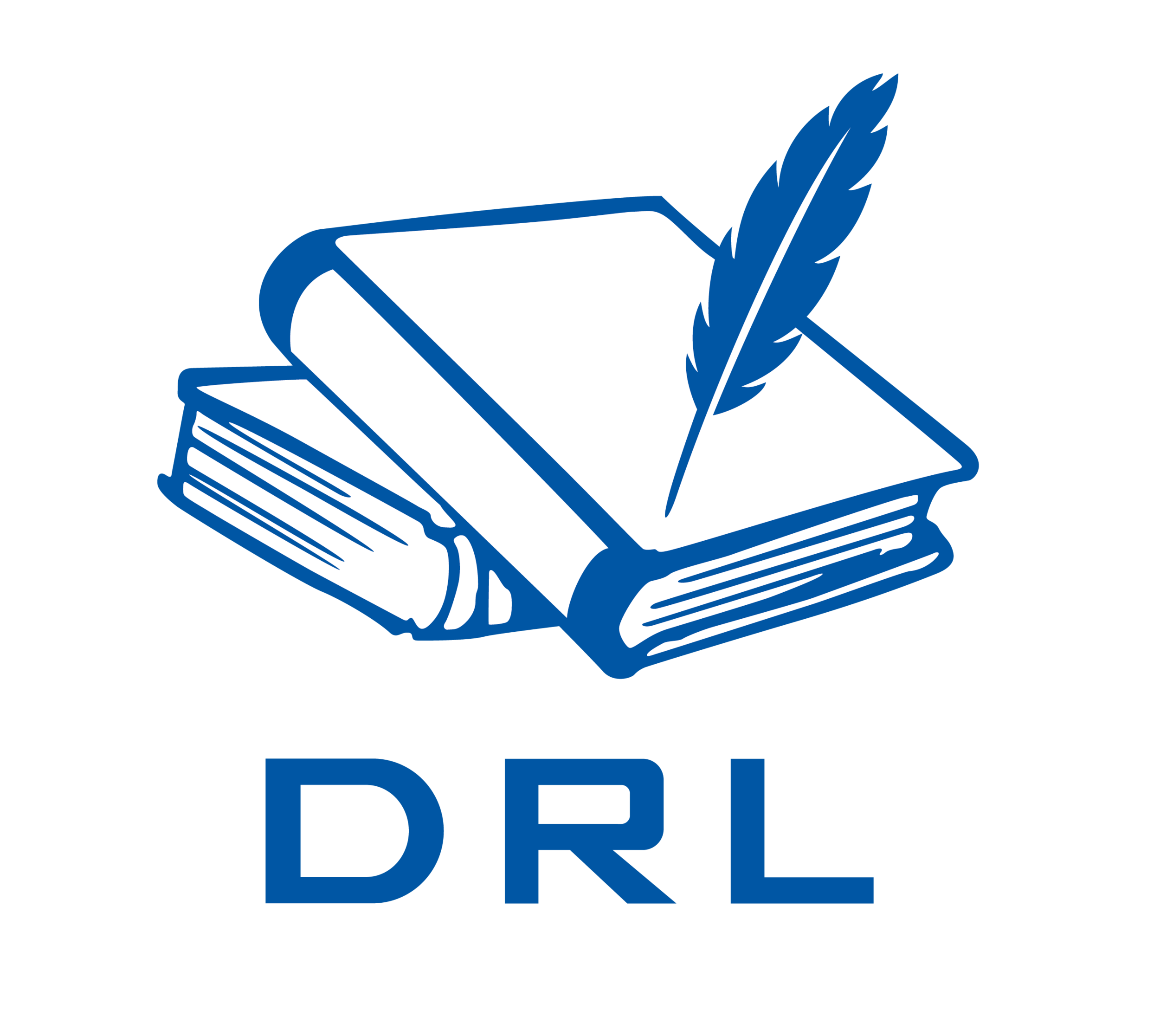 exe Logo DRL bleu marges