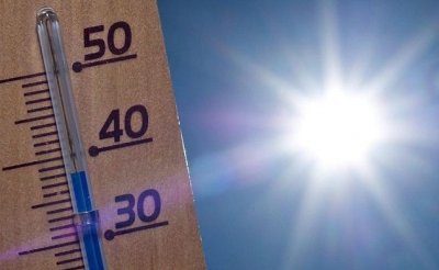 PHOTO CANICULE
