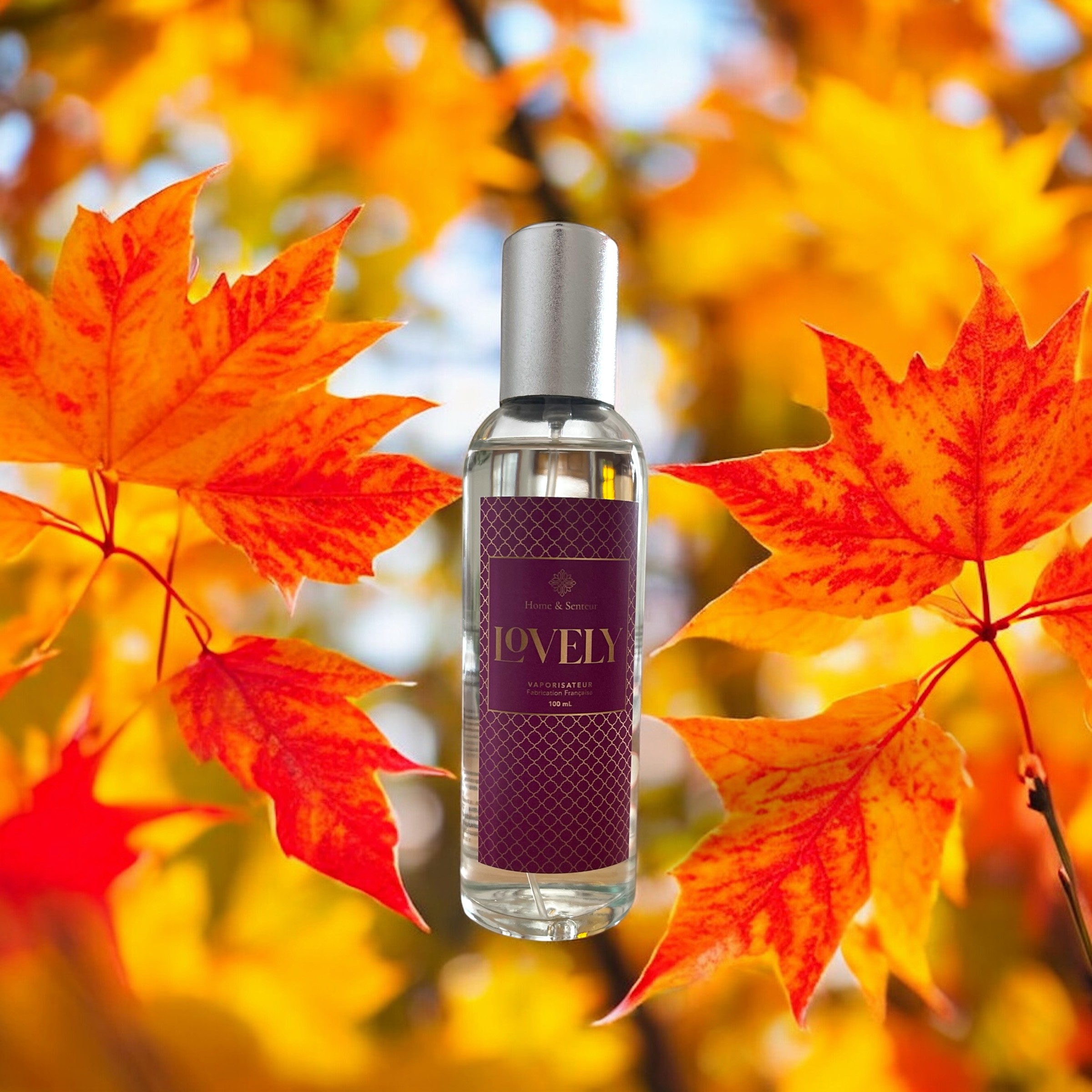 vaporisateur lovely 100ml
