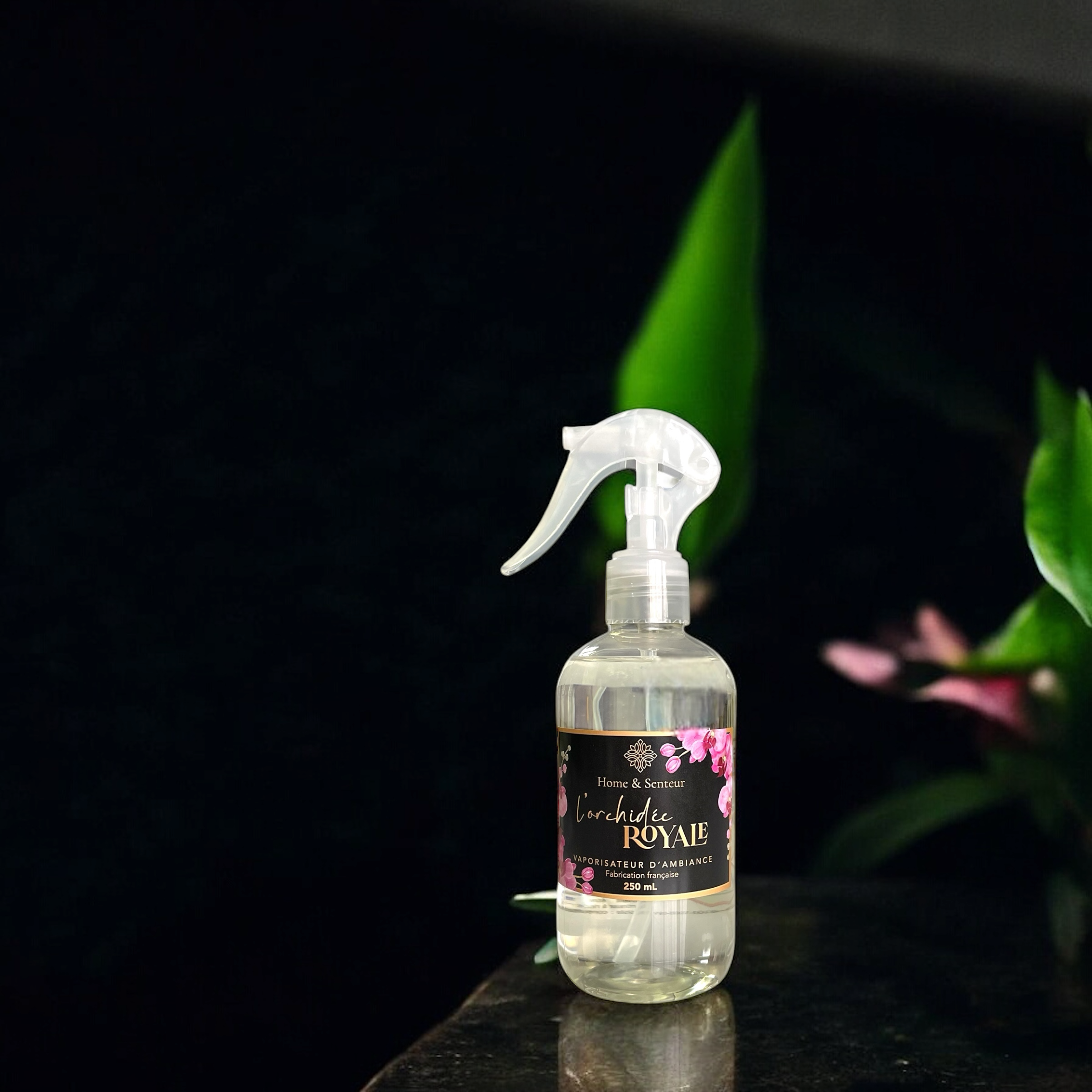 Vaporisateur, orchidée royal