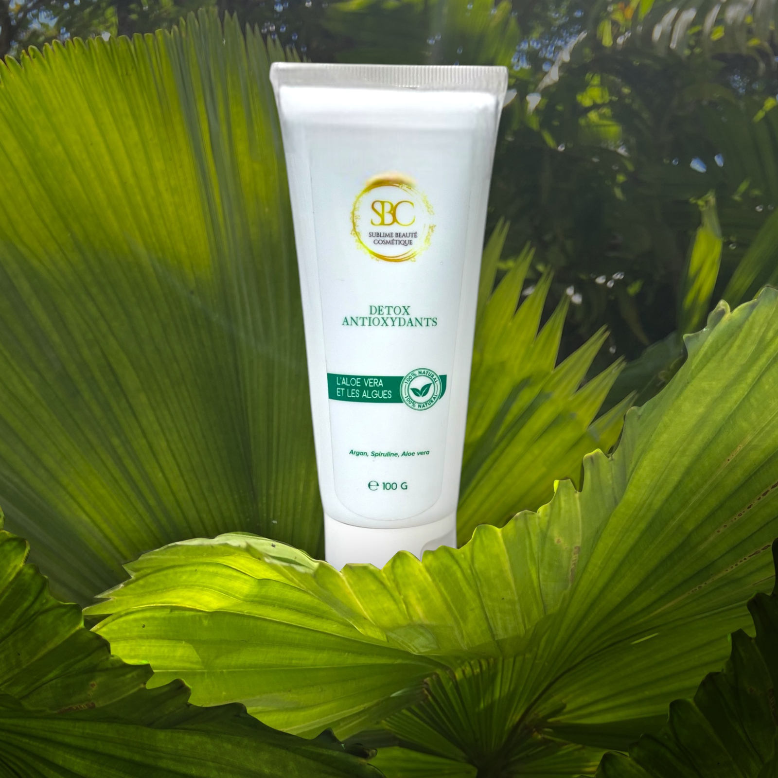 Masque Argan l’aloe Vera spiruline