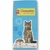croquette-chat-adulte