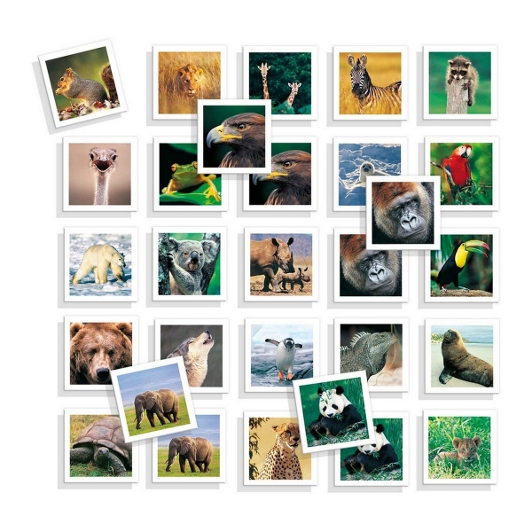 jouet-educatif-diset-memo-photo-animales-54-pieces_349682 (1)