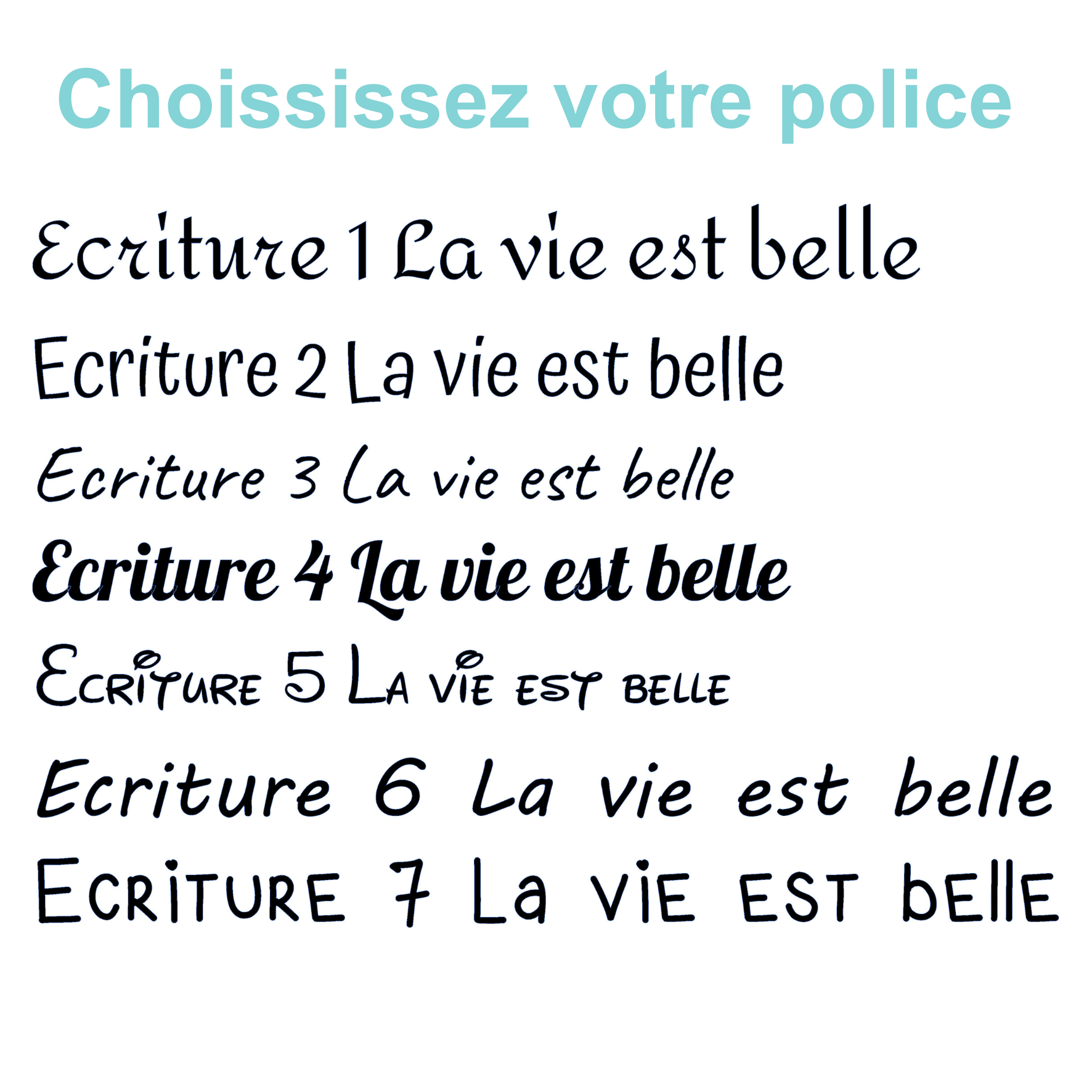 Choix de la Police (1)