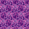 danois-violet