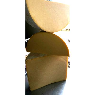 Cantal jeune lait de vache pasteurisé