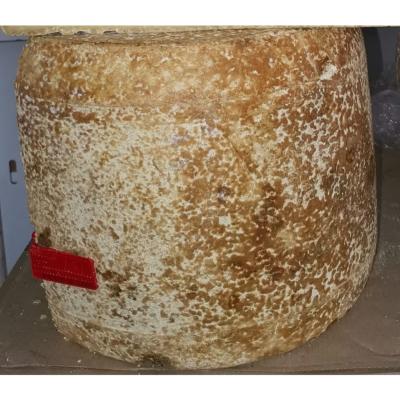 Salers Vieux lait cru de vache Montbéliarde