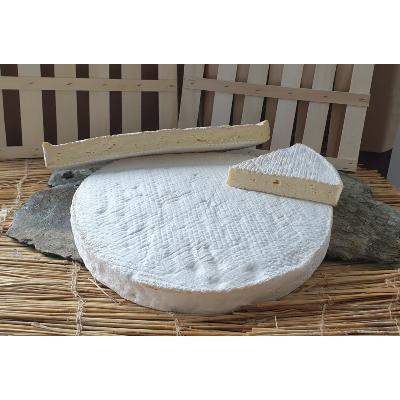Brie de Meaux