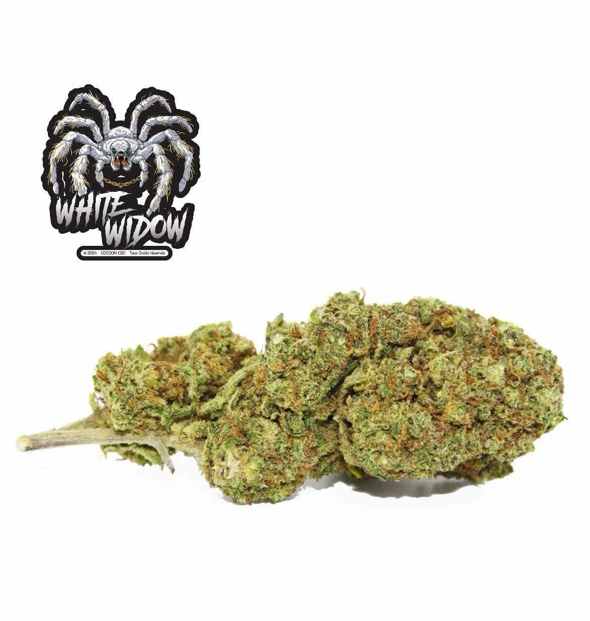 White Widow - Fleurs de CBD