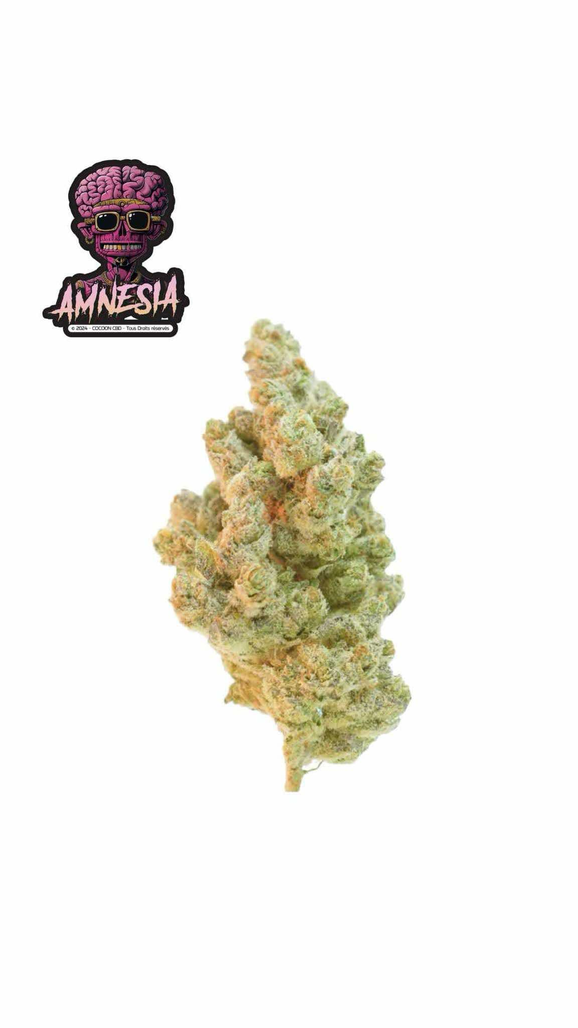 Amnésia Hydro - Fleurs de CBD