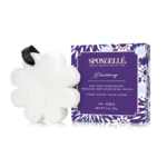 Eponge-femme-blackberry-zoom