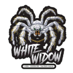 WHITE WIDOW