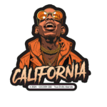 STICKERS LAETITIA GAILLARD Illust-VECT_aplati_CALIFORNIA
