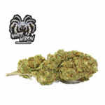 white widow1.