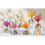 diffuseur 120 2