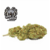 white widow1.