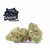 50de79dc-2c4f-4882-b228-e7448399cfee