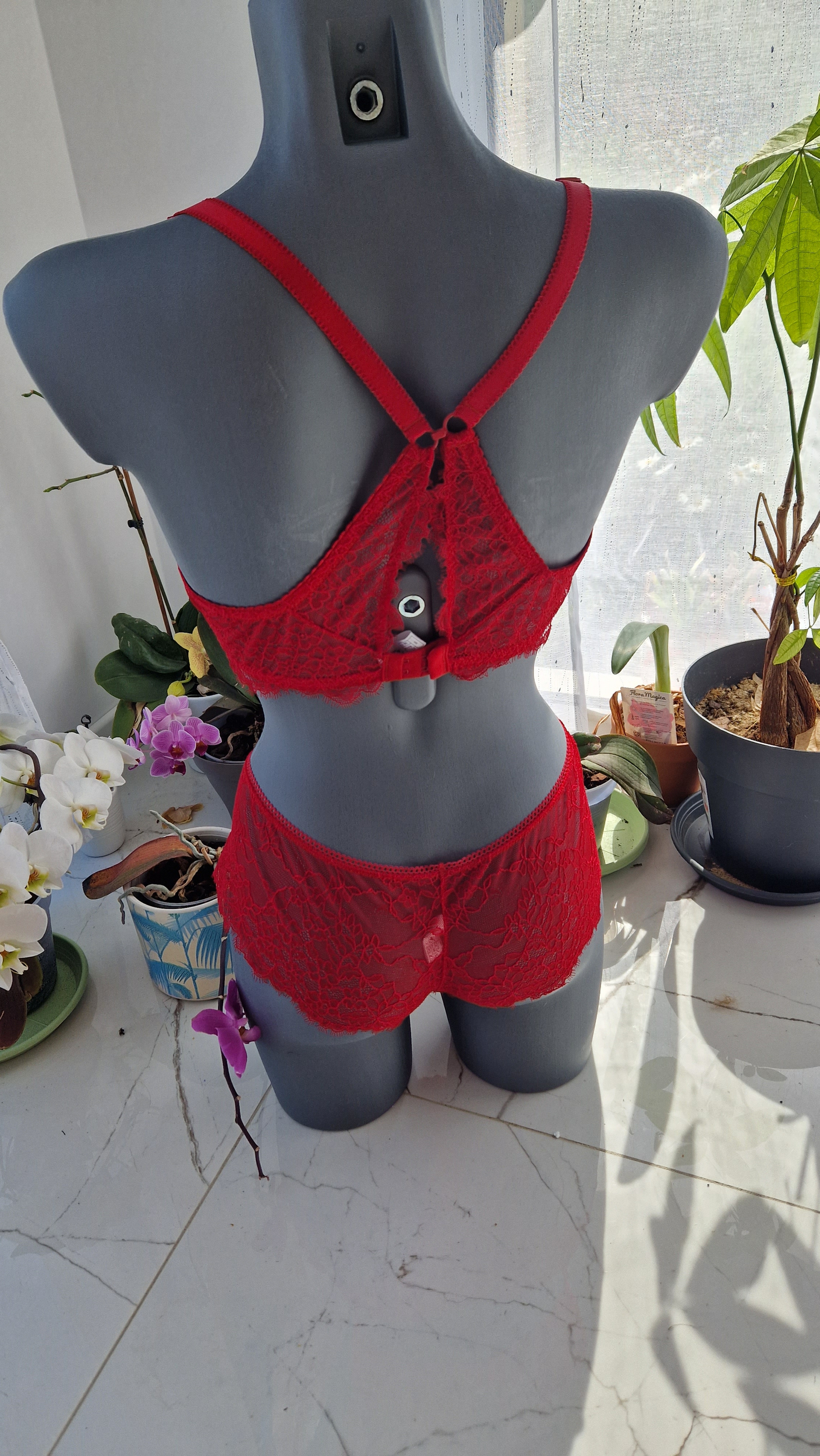 soft rubis +