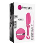 boite oeuf vibrant télécommandé Secret Delight Dorcel