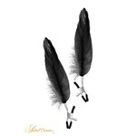 pinces à seins plume noire Sweet Caress
