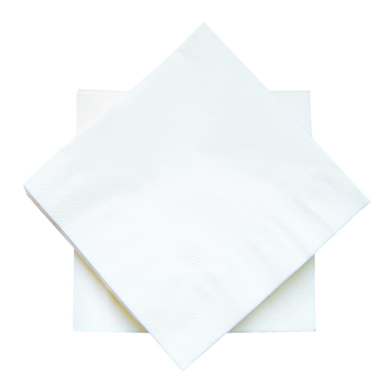 serv-ouate-2plis-30x30-30x100s