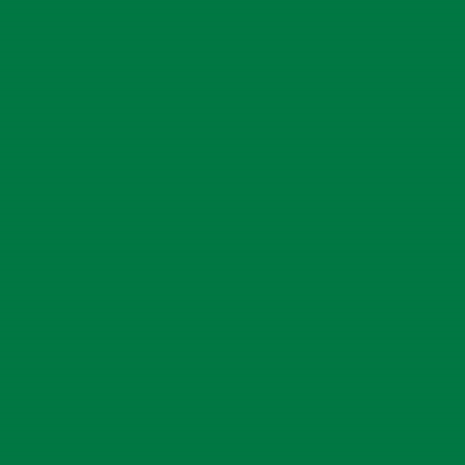 700 SERVIETTES 55 G/M2 40x40 CM VERT JAGUAR AIRLAID
