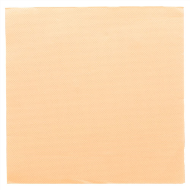 1200 SERVIETTES ECOLABEL \'DOUBLE POINT\' 18 G/M2 39x39 CM IVOIRE OUATE