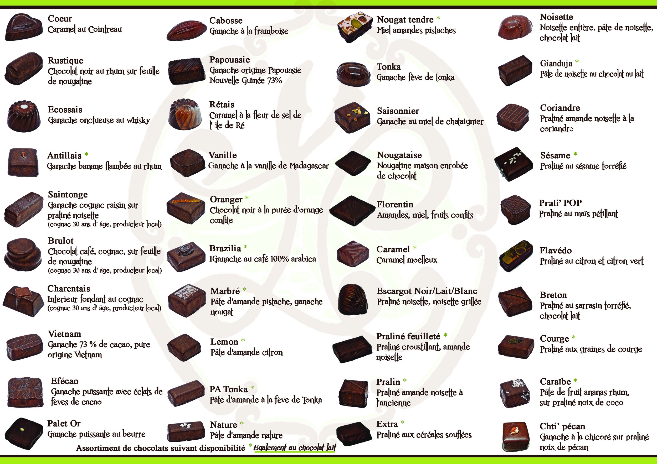 brochure int 2025