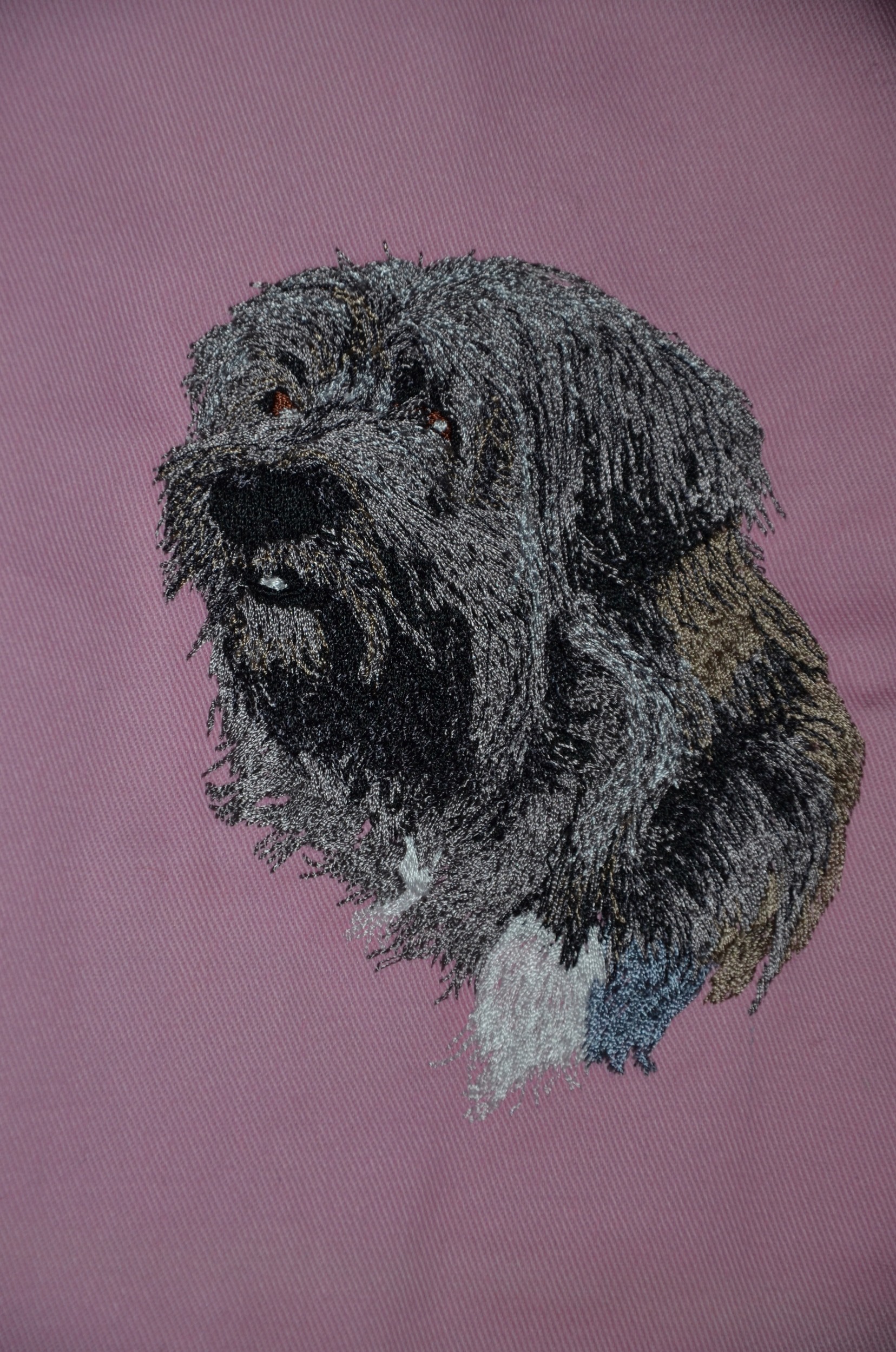body bébé berger 5