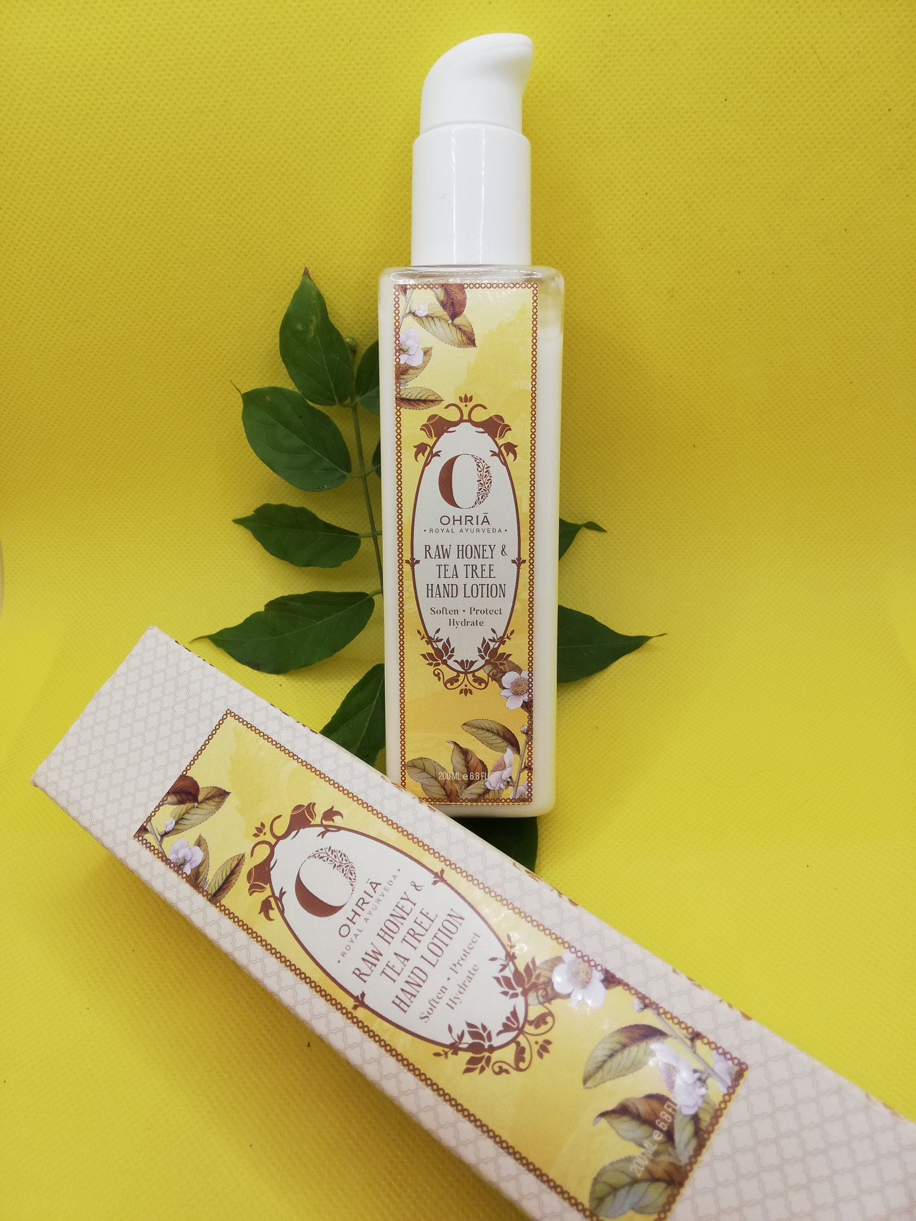Lotion main