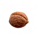 Screenshot 2025-10-21 18.31.09