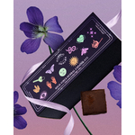 chocolat mélange boxe cosmic dealer