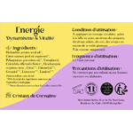 Notice Roll-on energie mon instant sattva