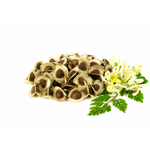 moringa