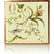 Bougie Rose boite