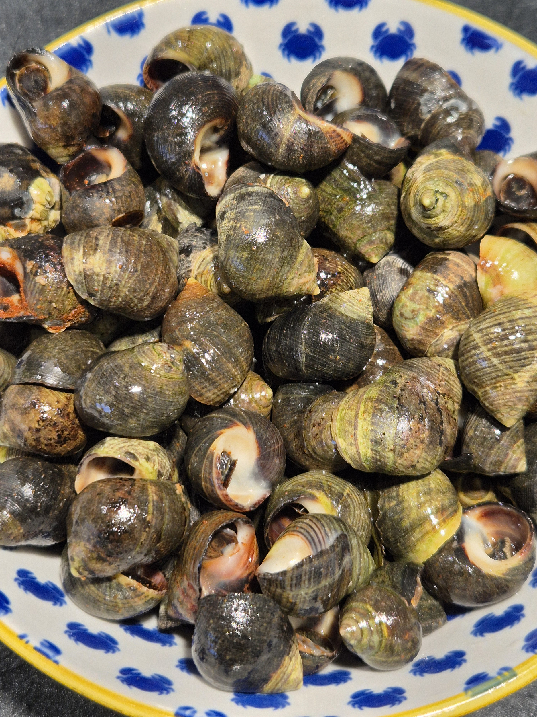 Bigorneaux cuits